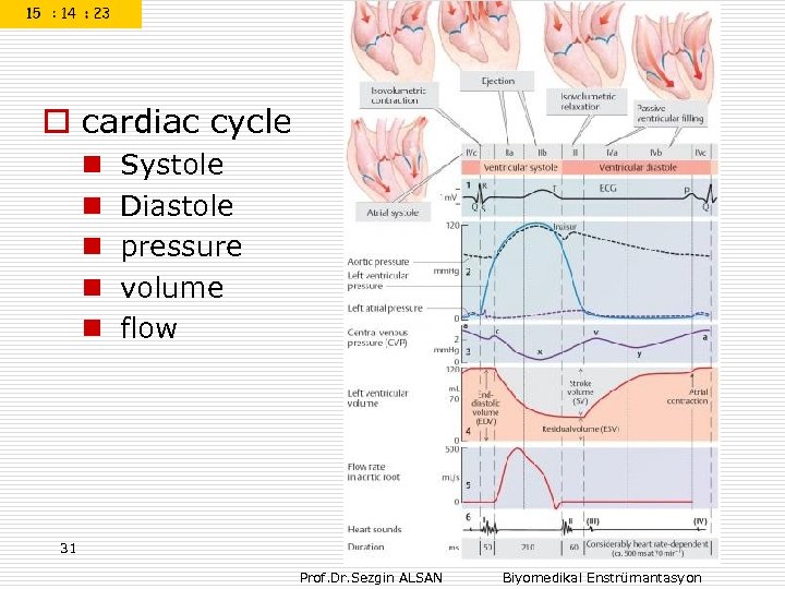 o cardiac cycle n n n Systole Diastole pressure volume flow 31 Prof. Dr.