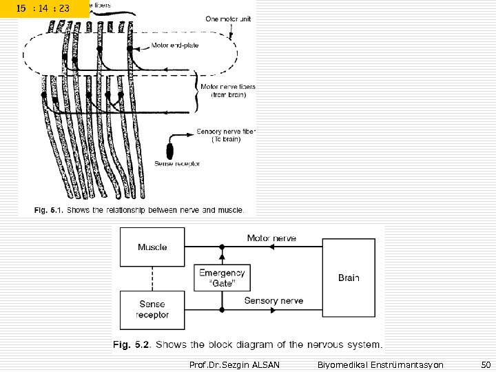 Prof. Dr. Sezgin ALSAN Biyomedikal Enstrümantasyon 50 