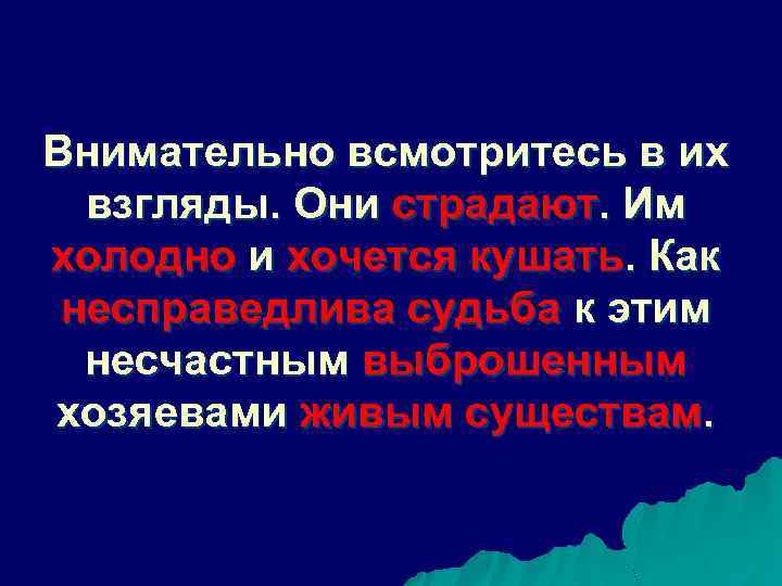 Внимательно всмотритесь в их взгляды. Они страдают. Им холодно и хочется кушать. Как несправедлива