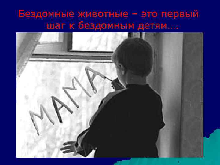 Бездомные животные – это первый шаг к бездомным детям…. 