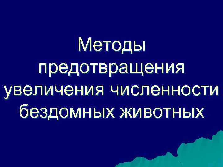 Методы предотвращения увеличения численности бездомных животных 