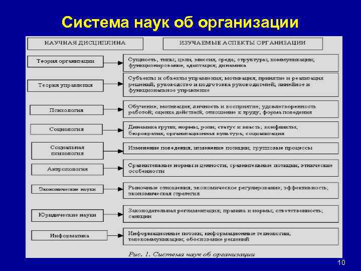 Система наук об организации 10 10 