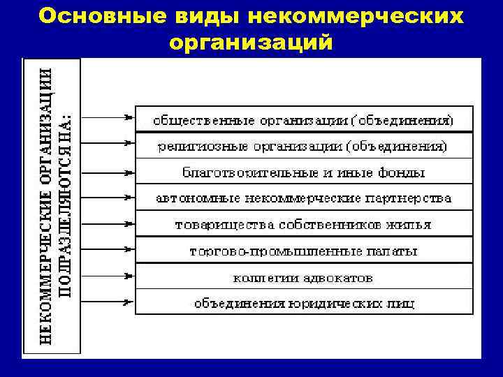 Основные виды некоммерческих организаций 