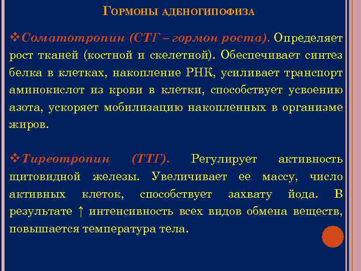 ГОРМОНЫ АДЕНОГИПОФИЗА v. Соматотропин (СТГ – гормон роста). Определяет рост тканей (костной и скелетной).