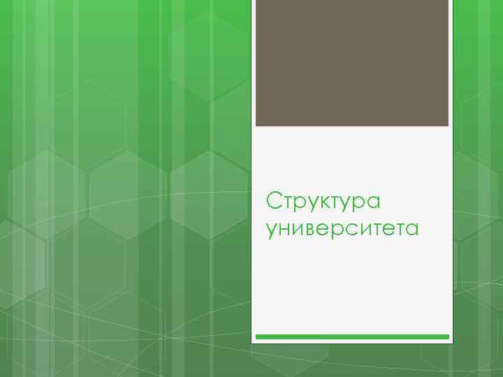 Структура университета 
