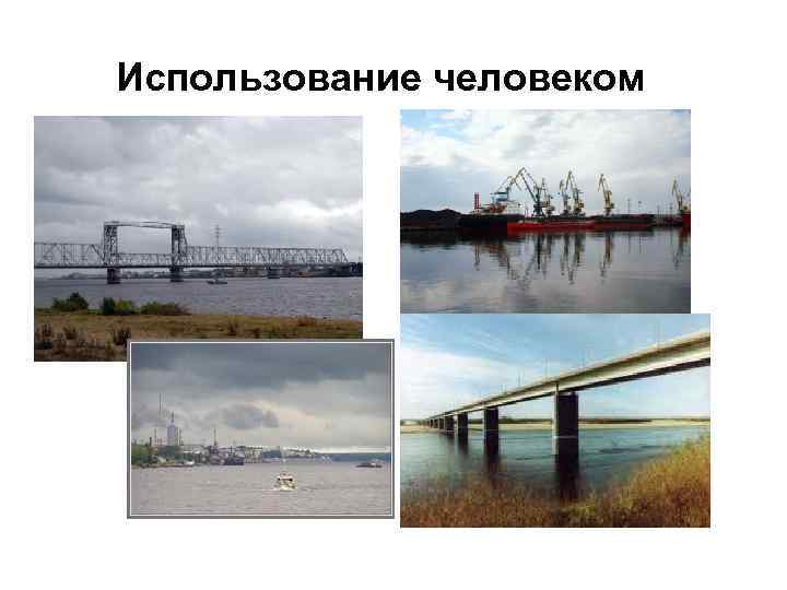 Использование человеком 