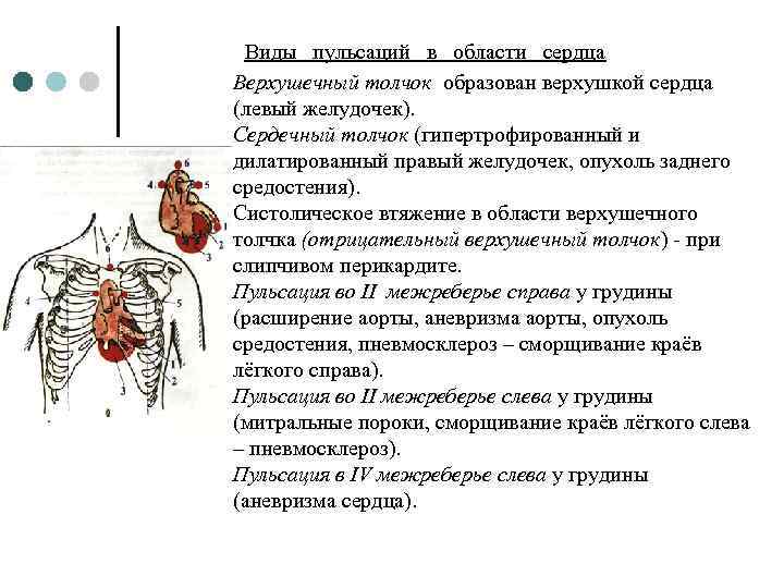 Верхушечный толчок. Верхушечный толчок сердца в норме определяется в 5-м межреберье. Области верхушечного толчка сердца. Верхушечный толчок образован правым желудочком. Механизм образования верхушечного толчка.