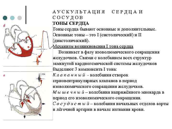 1 тон сердца. Аускультация сердца механизмы образования тонов сердца. Механизм образования первого тона сердца. Тоны сердца таблица механизм формирования. Механизм образования i и II тонов сердца..