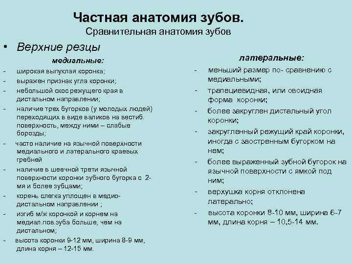 Частная анатомия зубов. Сравнительная анатомия зубов • Верхние резцы латеральные: медиальные: - - -