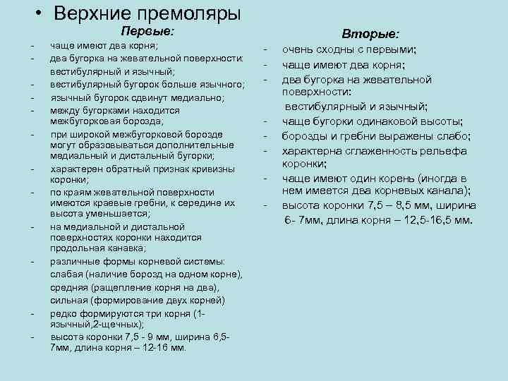  • Верхние премоляры Первые: - - - чаще имеют два корня; два бугорка