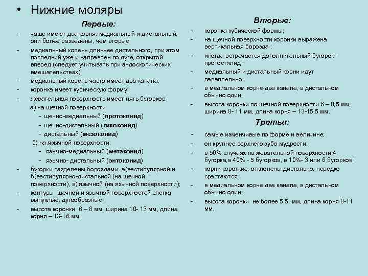  • Нижние моляры Первые: - - чаще имеют два корня: медиальный и дистальный,