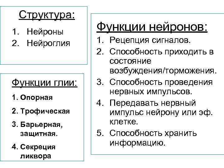 Структура: 1. Нейроны 2. Нейроглия Функции глии: 1. Опорная 2. Трофическая 3. Барьерная, защитная.