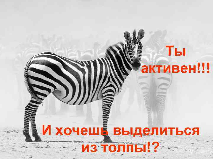 Ты активен!!! И хочешь выделиться из толпы!? 