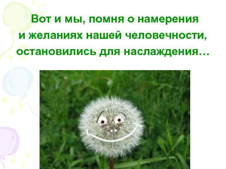 Вот и мы, помня о намерения и желаниях нашей человечности, остановились для наслаждения… 