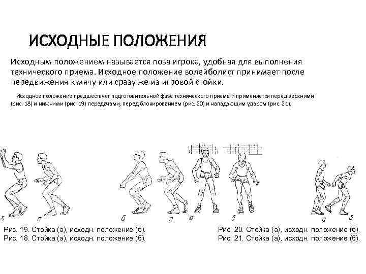 Какое положение из названных