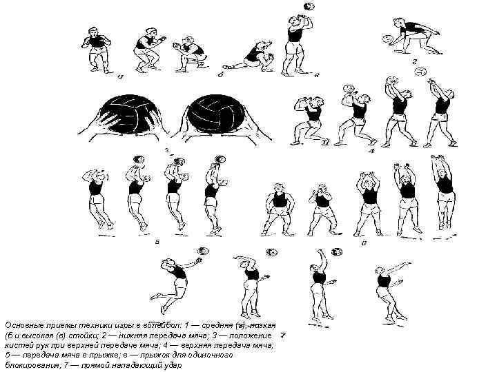 Основные приемы техники игры в волейбол: 1 — средняя (а), низкая (б и высокая