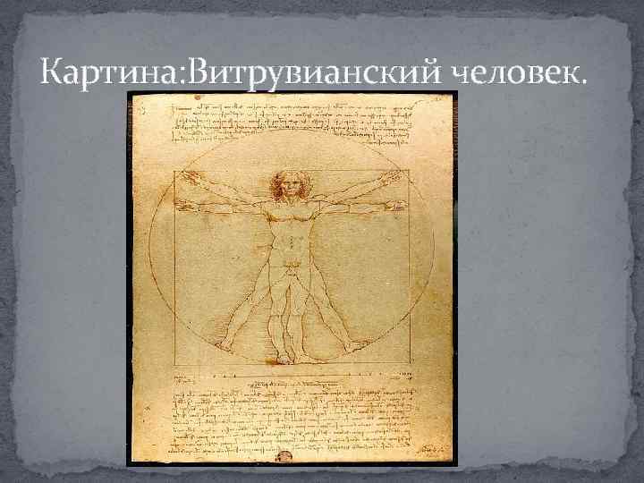 Картина: Витрувианский человек. 