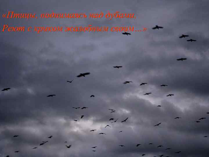  «По оврагам волки завывают, «Птицы, поднимаясь над дубами, Крик орлов доносится из тьмы,