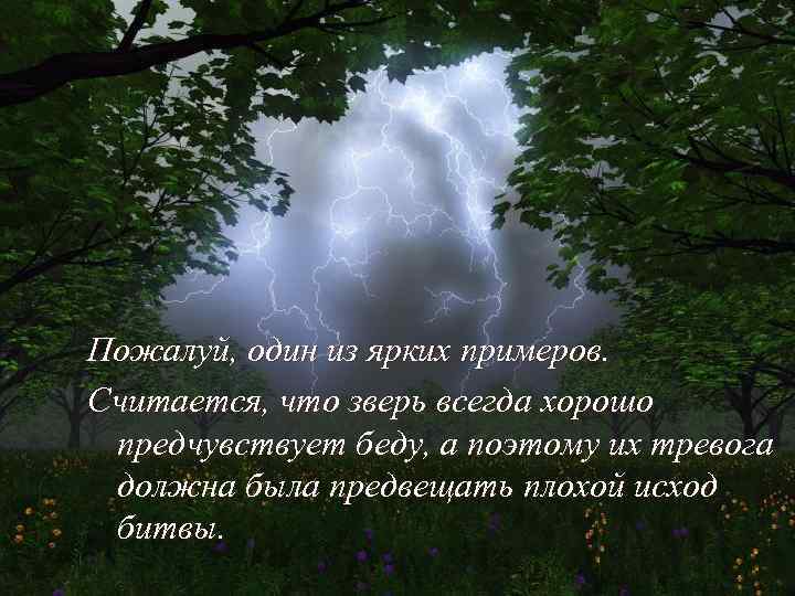 Пожалуй, один из ярких примеров. Считается, что зверь всегда хорошо предчувствует беду, а поэтому