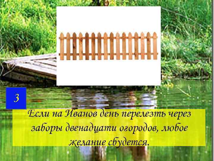 3 Если на Иванов день перелезть через заборы двенадцати огородов, любое желание сбудется. 