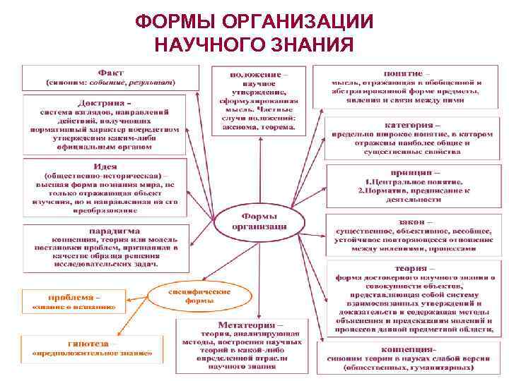 ФОРМЫ ОРГАНИЗАЦИИ НАУЧНОГО ЗНАНИЯ 