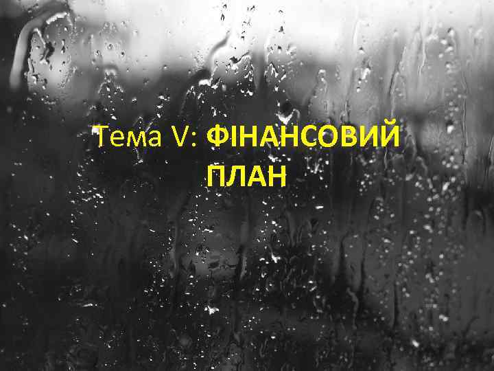 Тема V: ФІНАНСОВИЙ ПЛАН 