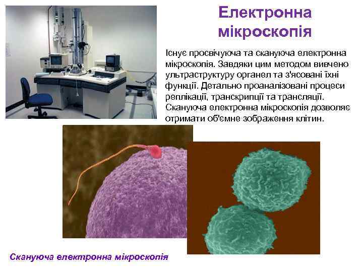 Електронна мікроскопія Існує просвічуюча та скануюча електронна мікроскопія. Завдяки цим методом вивчено ультраструктуру органел