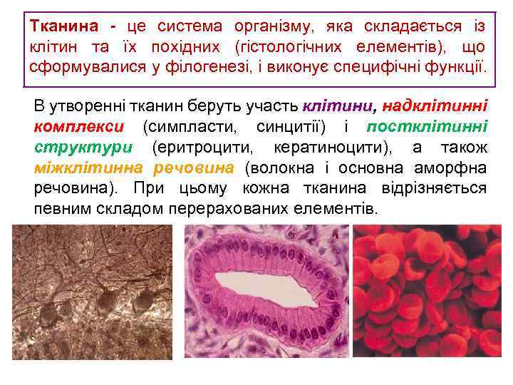Тканина - це система організму, яка складається із клітин та їх похідних (гістологічних елементів),