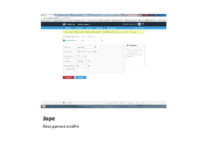 Заре Ввел данные о сайте 