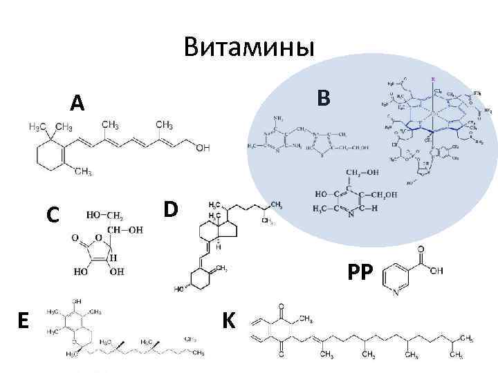 Витамины В А С D PP E K 