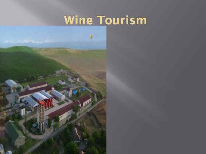 Wine Tourism 