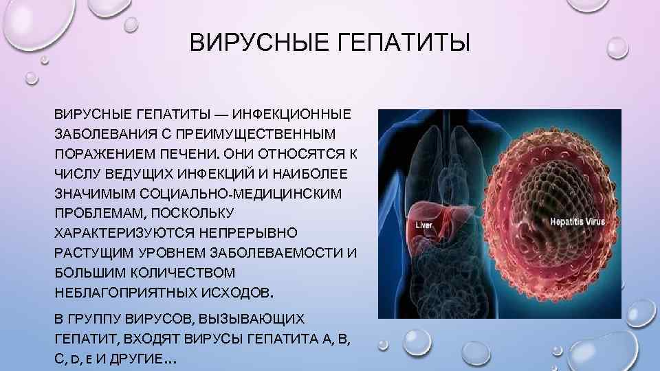 ВИРУСНЫЕ ГЕПАТИТЫ — ИНФЕКЦИОННЫЕ ЗАБОЛЕВАНИЯ С ПРЕИМУЩЕСТВЕННЫМ ПОРАЖЕНИЕМ ПЕЧЕНИ. ОНИ ОТНОСЯТСЯ К ЧИСЛУ ВЕДУЩИХ