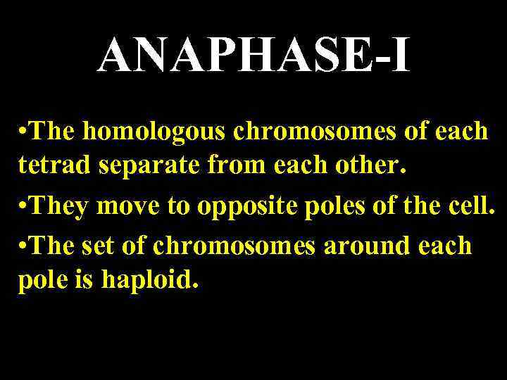 ANAPHASE-I • The homologous chromosomes of each tetrad separate from each other. • They