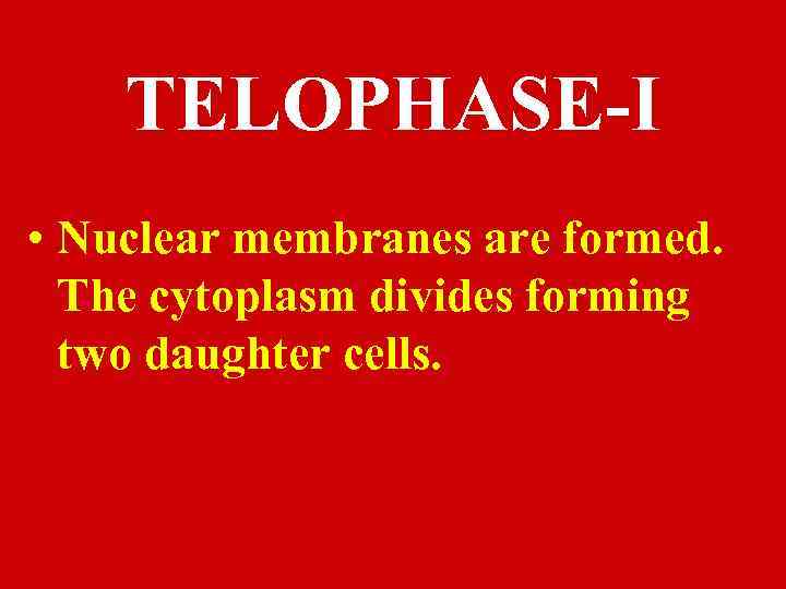 TELOPHASE-I • Nuclear membranes are formed. The cytoplasm divides forming two daughter cells. 