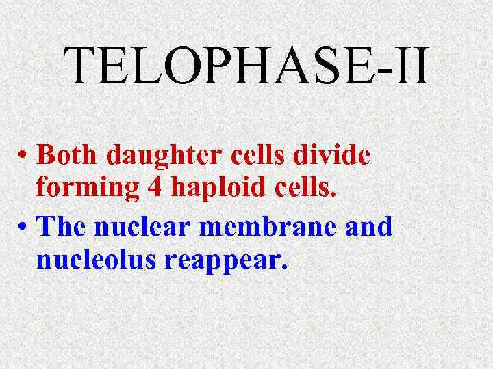 TELOPHASE-II • Both daughter cells divide forming 4 haploid cells. • The nuclear membrane