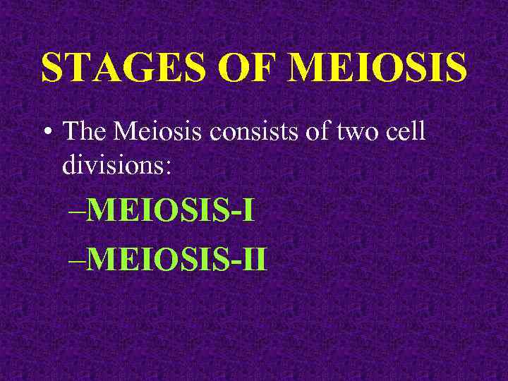 STAGES OF MEIOSIS • The Meiosis consists of two cell divisions: –MEIOSIS-II 