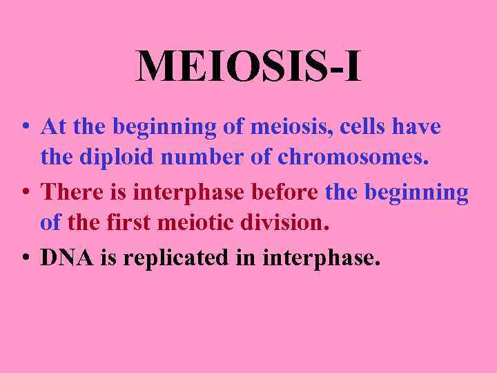MEIOSIS-I • At the beginning of meiosis, cells have the diploid number of chromosomes.