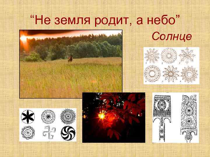 “Не земля родит, а небо” Солнце 