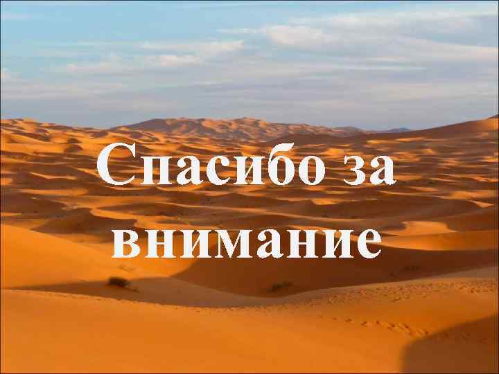 Спасибо за внимание 