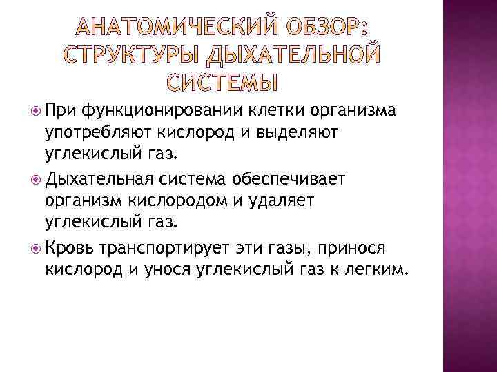  При функционировании клетки организма употребляют кислород и выделяют углекислый газ. Дыхательная система обеспечивает