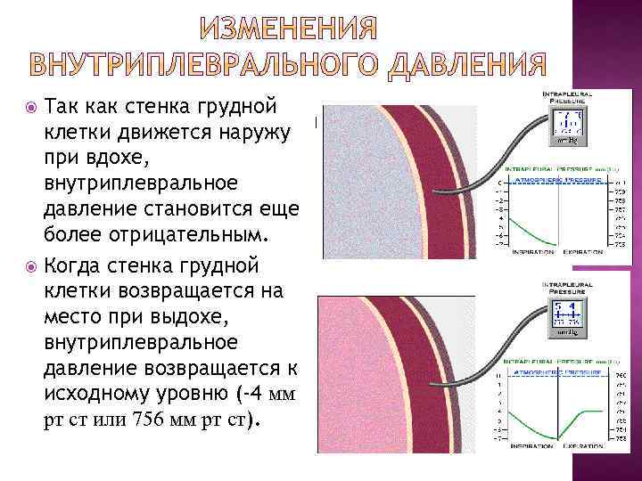 Объяснить измениться. Внутриплевральное давление при вдохе. Внутриплевральное давление при выдохе. Внутриплевральное давление при вдохе и выдохе. Величина внутриплеврального давления.