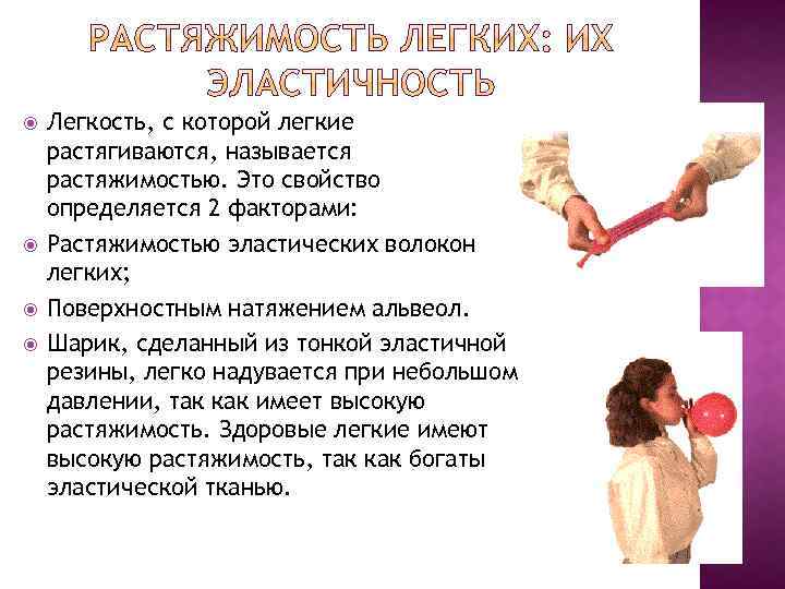  Легкость, с которой легкие растягиваются, называется растяжимостью. Это свойство определяется 2 факторами: Растяжимостью