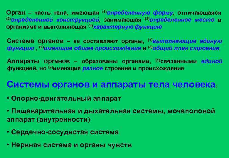 Орган – часть тела, имеющая (1)определенную форму, отличающаяся (2)определенной конструкцией, занимающая (3)определенное место в