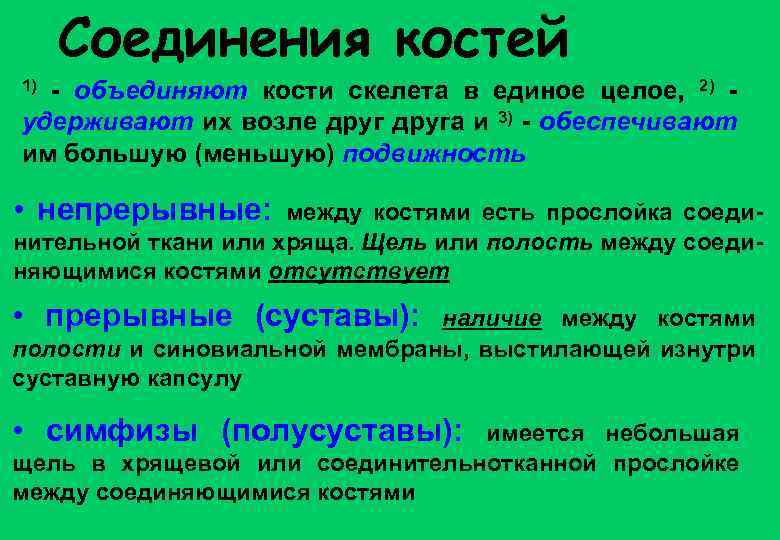 Соединения костей - объединяют кости скелета в единое целое, 2) удерживают их возле друга