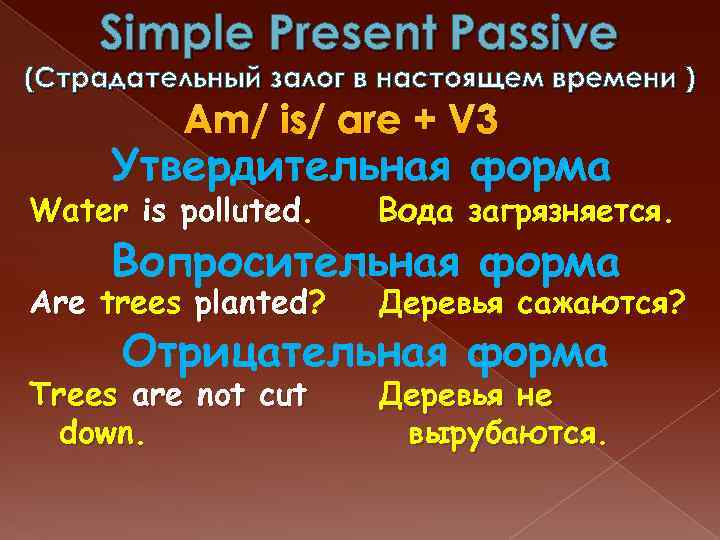 Simple Present Passive (Страдательный залог в настоящем времени ) Am/ is/ are + V