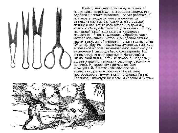 В писцовых книгах упомянуты около 30 промыслов, которыми новгородцы занимались вдобавок к своим земледельческим