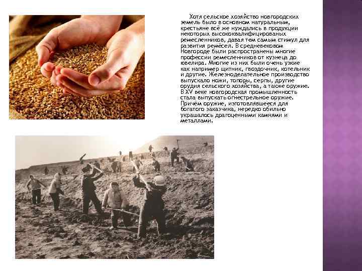 Хотя сельское хозяйство новгородских земель было в основном натуральным, крестьяне всё же нуждались в