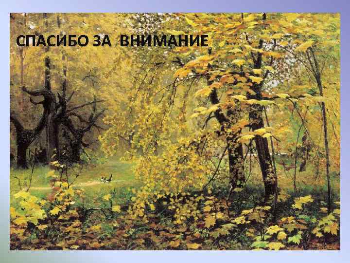 СПАСИБО ЗА ВНИМАНИЕ 