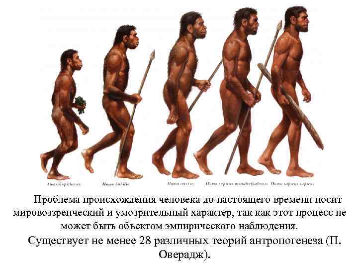  Проблема происхождения человека до настоящего времени носит мировоззренческий и умозрительный характер, так как