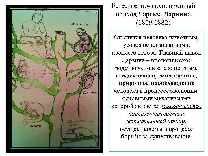 Естественной эволюции